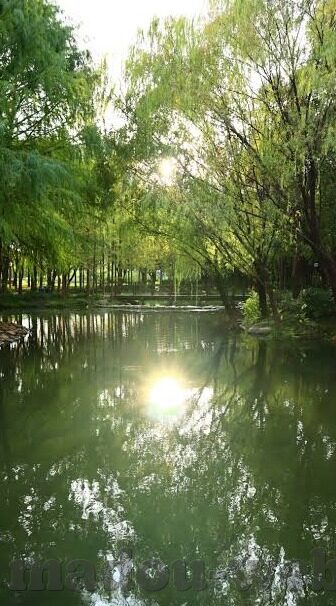 av日韩专区在线-AV日韩专区在线，探索亚洲文化与娱乐的独特视角