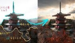 成人抖音视频-成人抖音视频，网络文化的新兴领域与影响分析