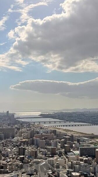大象传媒一品精区-探索大象传媒的独特魅力，一品精区的内容与价值
