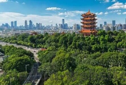 国产成人精品亚洲八av麻豆-爱与艺术的边界，动漫文化的深度探索