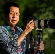 久久久不卡国产精品一区二区-探索国产精品一区二区的独特魅力与文化价值