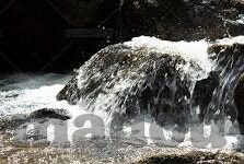 麻豆传媒司徒丹妮-解密麻豆传媒背后的艺术家，司徒丹妮的独特魅力