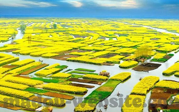 麻豆文化传媒app叫什么-麻豆文化传媒的奇妙旅程，探寻其独特魅力与影响