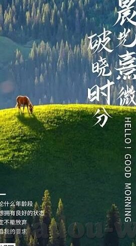 糖心app免费-探访糖心app的免费魅力与选择优势