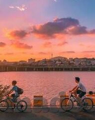糖心vlog官网下-糖心vlog，独特视角下的生活探索
